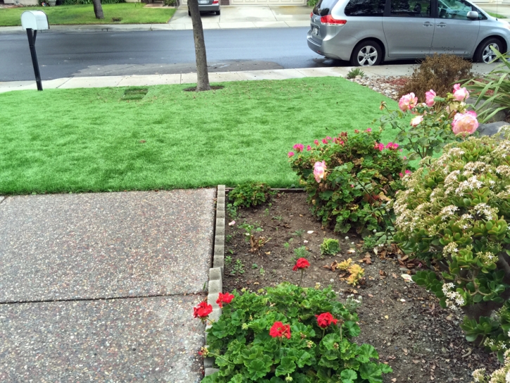 Artificial Turf Installation Newman, California Dogs, Front Yard Landscaping Ideas