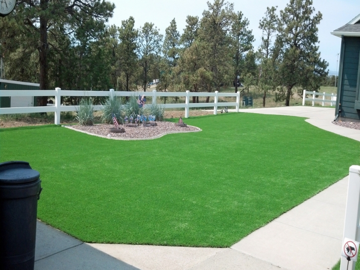 Artificial Turf Installation Three Rocks, California Landscape Ideas, Front Yard Landscaping Ideas