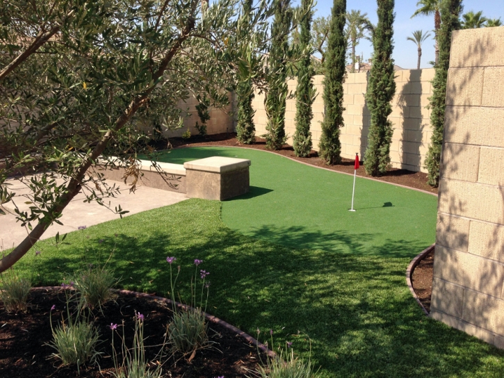 Artificial Turf Oakley, California Putting Green Carpet, Backyard Landscape Ideas