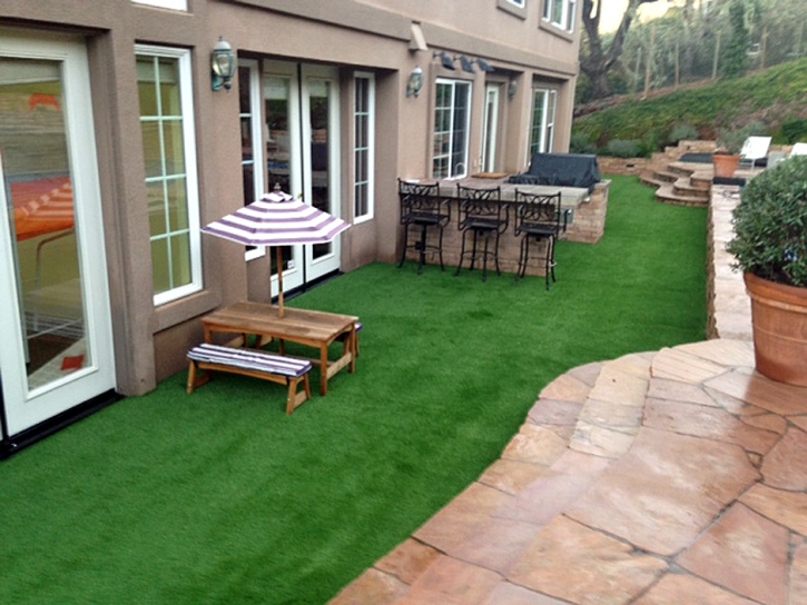 Artificial Turf Olancha, California Backyard Deck Ideas, Beautiful Backyards