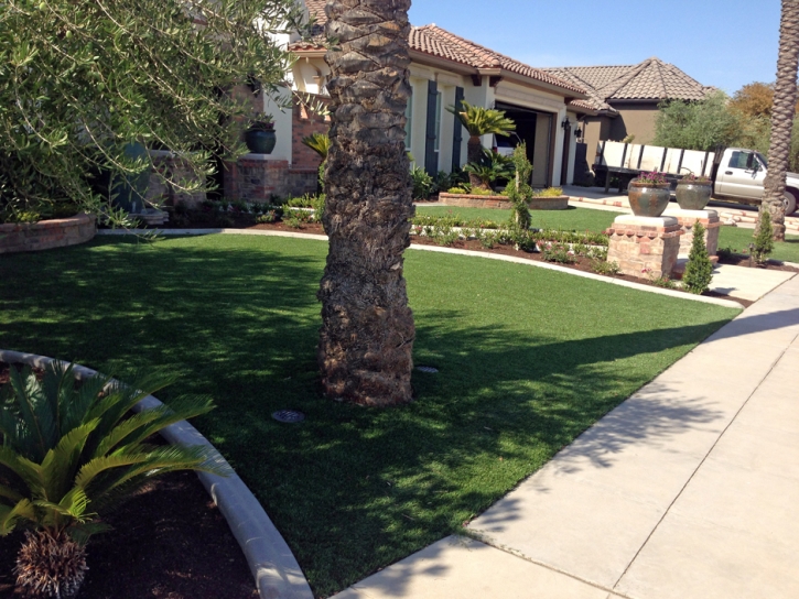 Artificial Turf Springville, California Landscape Design, Front Yard Ideas