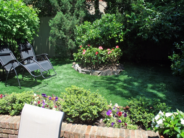 Artificial Turf Taft, California Rooftop, Backyard Landscape Ideas