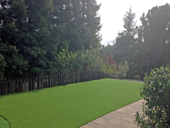 Artificial Turf Union City, California Lawns, Backyard Landscape Ideas