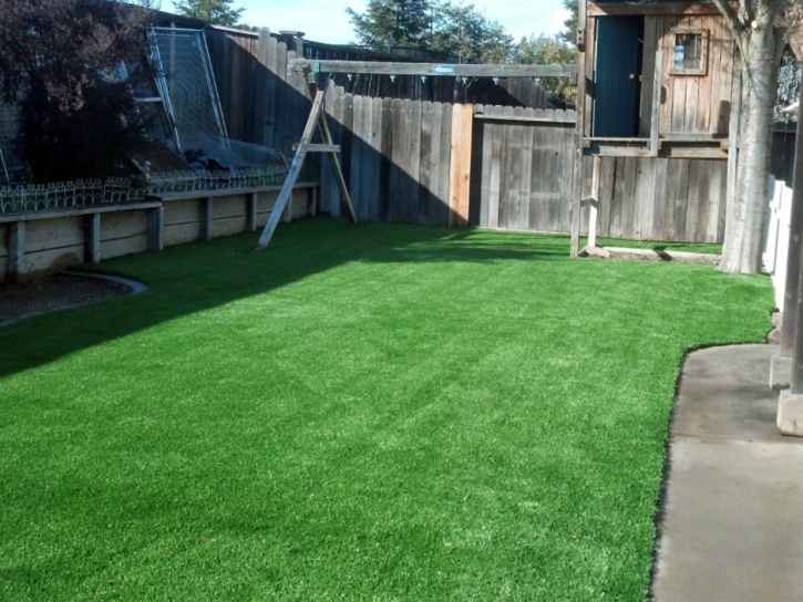 Best Artificial Grass Amador City, California Design Ideas, Backyard Landscaping