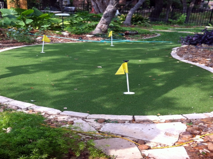 Best Artificial Grass Avenal, California Landscaping, Small Backyard Ideas