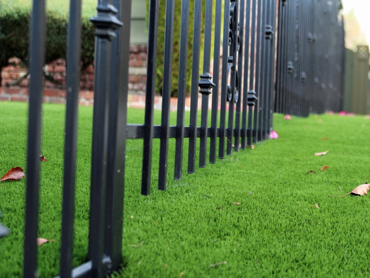 Best Artificial Grass Cedar Ridge, California Roof Top, Front Yard Ideas