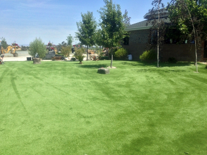 Best Artificial Grass Delhi, California Lawn And Garden, Parks