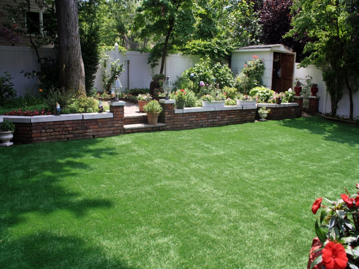 Best Artificial Grass Keeler, California Rooftop, Beautiful Backyards