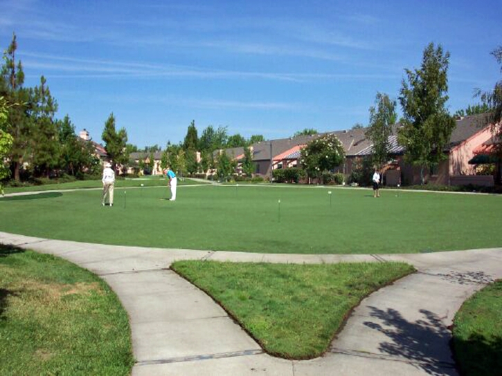 Best Artificial Grass New Cuyama, California Garden Ideas, Commercial Landscape