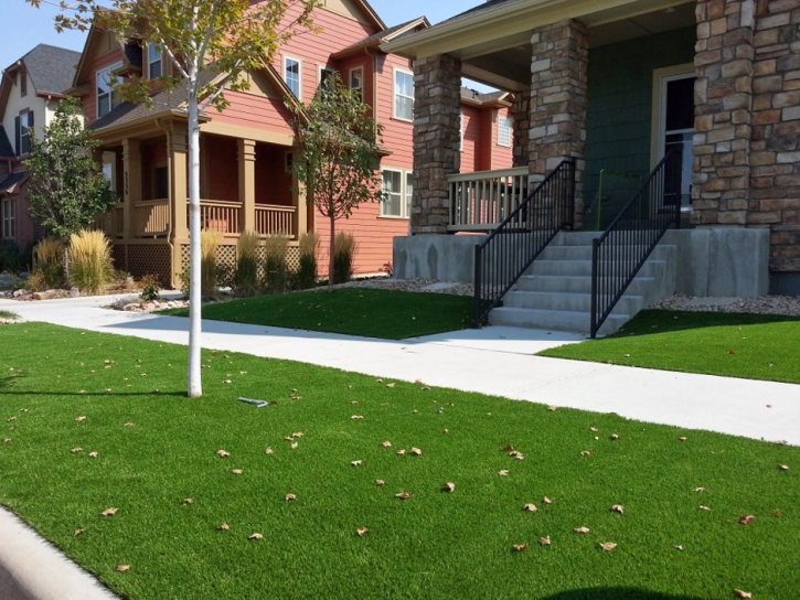 Best Artificial Grass Parksdale, California Backyard Playground, Front Yard Design