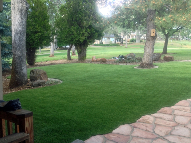 Best Artificial Grass Riverbank, California Lawns, Front Yard Landscape Ideas