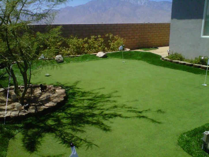 Best Artificial Grass Seaside, California Lawns, Beautiful Backyards