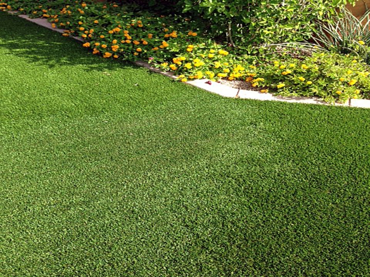 Best Artificial Grass Tranquillity, California Roof Top, Front Yard Landscape Ideas