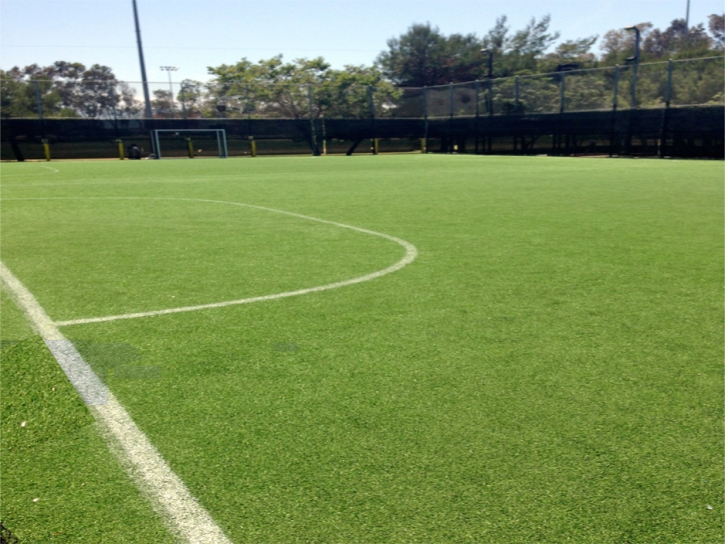 Best Artificial Grass Volta, California Sports Turf