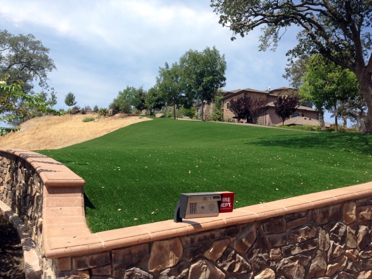 Fake Grass Carpet Darwin, California Lawn And Garden, Front Yard Ideas