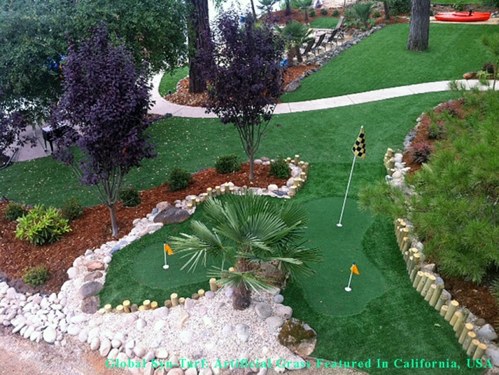 Fake Grass Carpet Fresno, California Landscape Photos, Backyard Design