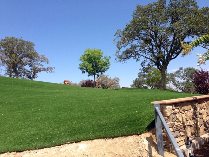 Fake Grass Carpet Greenfield, California Lawns, Landscaping Ideas For Front Yard