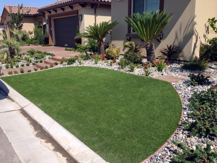 Fake Grass Carpet King City, California Home And Garden, Front Yard Landscape Ideas