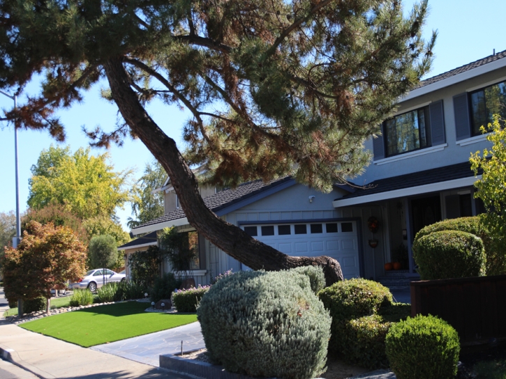 Fake Grass Carpet Lone Pine, California Lawns, Front Yard Landscape Ideas