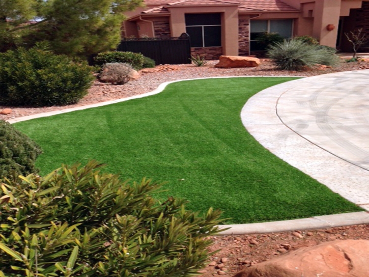 Fake Grass Carpet Mono City, California Lawn And Garden, Front Yard Landscape Ideas