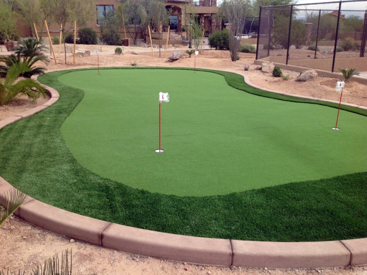 Fake Grass Carpet Mountain House, California Diy Putting Green, Backyard