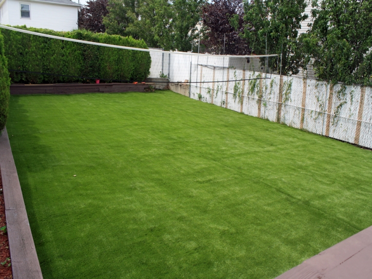 Fake Grass Cold Springs, California Design Ideas, Small Backyard Ideas