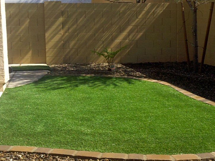 Fake Grass Delhi, California Landscape Design, Beautiful Backyards