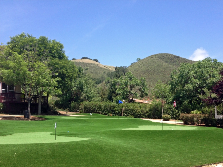 Fake Grass June Lake, California Golf Green, Front Yard Landscape Ideas