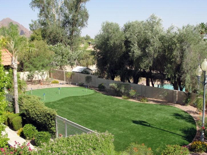 Fake Grass Lone Pine, California Putting Green, Backyard Ideas