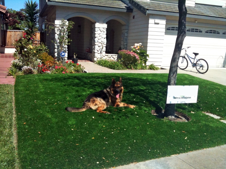 Fake Grass Monson, California City Landscape, Front Yard