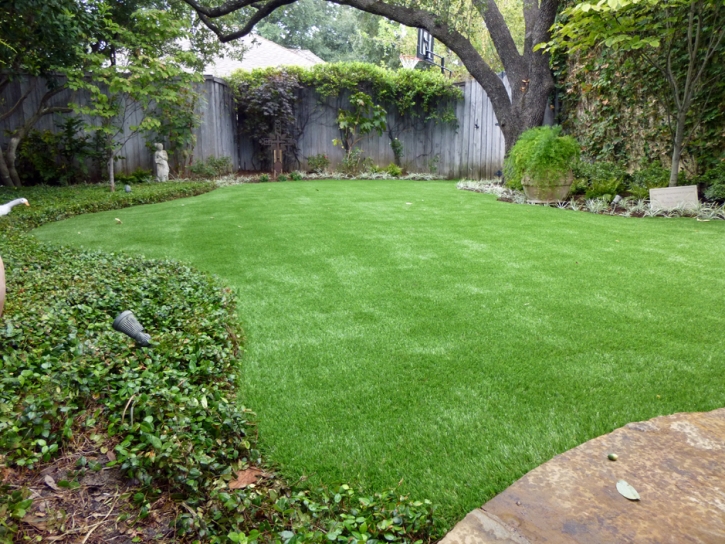 Fake Grass San Juan Bautista, California Backyard Deck Ideas, Backyard Makeover