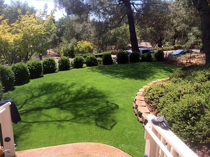 Fake Grass Sultana, California Paver Patio, Backyard Designs