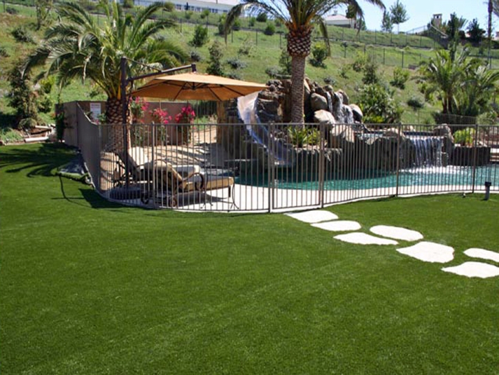 Fake Grass Wawona, California Landscaping, Backyard Pool