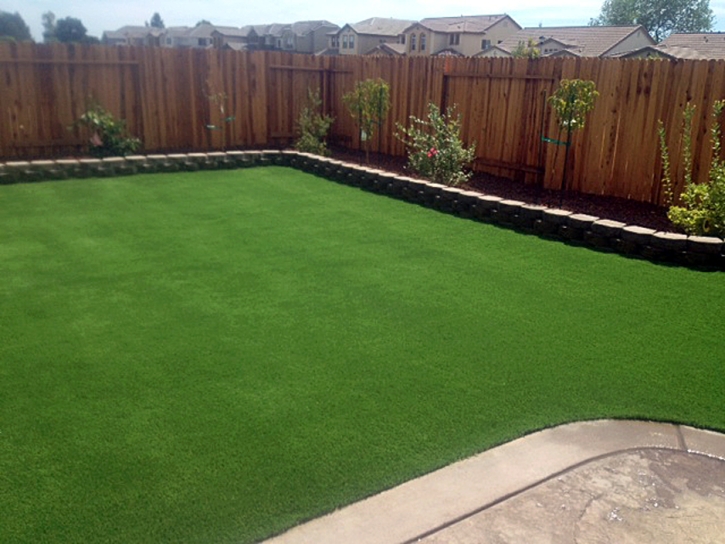 Fake Lawn Auberry, California Lawn And Landscape, Backyard Landscape Ideas