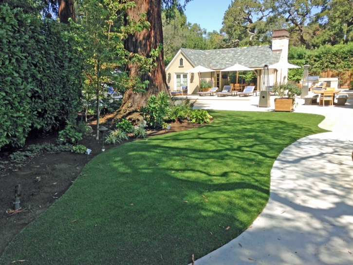 Fake Lawn Bret Harte, California Gardeners, Commercial Landscape