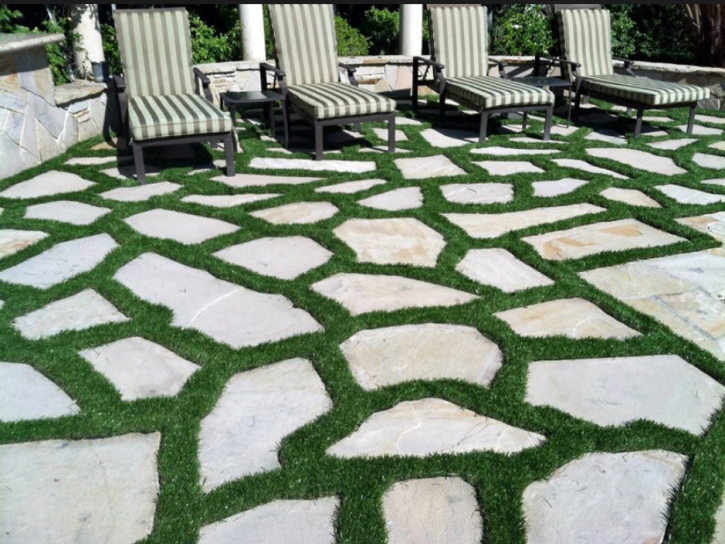 Fake Lawn Bret Harte, California Landscape Photos, Backyard Ideas