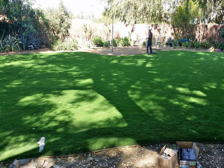 Fake Lawn Brookdale, California Home And Garden, Backyard Landscape Ideas