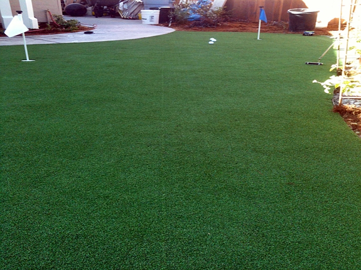 Fake Lawn Cantua Creek, California Indoor Putting Greens, Backyard Garden Ideas