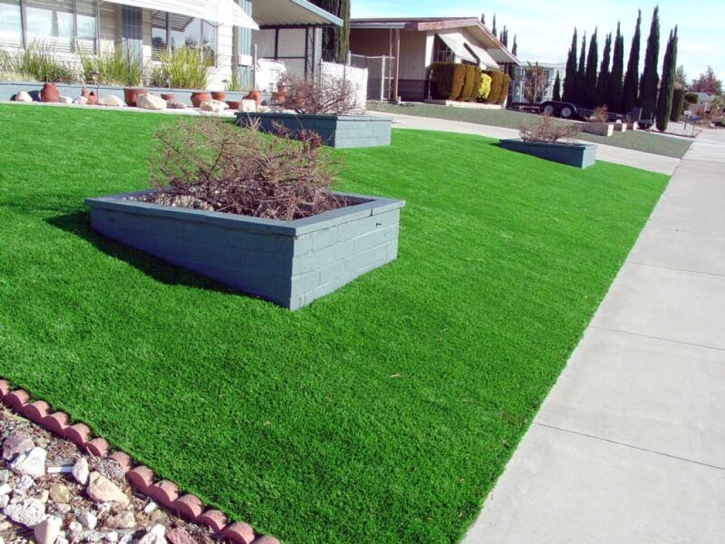 Fake Lawn Del Rio, California Home And Garden, Front Yard Landscaping Ideas