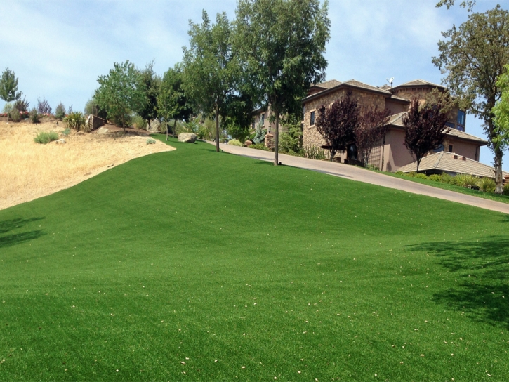 Fake Lawn Dixon Lane-Meadow Creek, California Garden Ideas, Landscaping Ideas For Front Yard