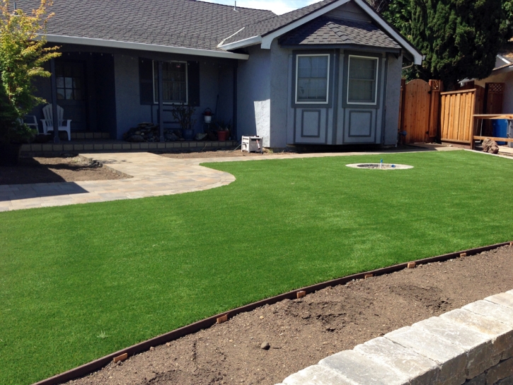 Fake Lawn Gustine, California Landscape Rock, Front Yard Ideas