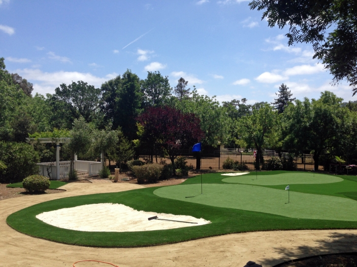 Fake Lawn Livingston, California Backyard Putting Green, Front Yard Landscape Ideas