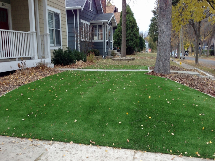 Fake Lawn Long Barn, California Landscaping Business, Front Yard Landscaping Ideas