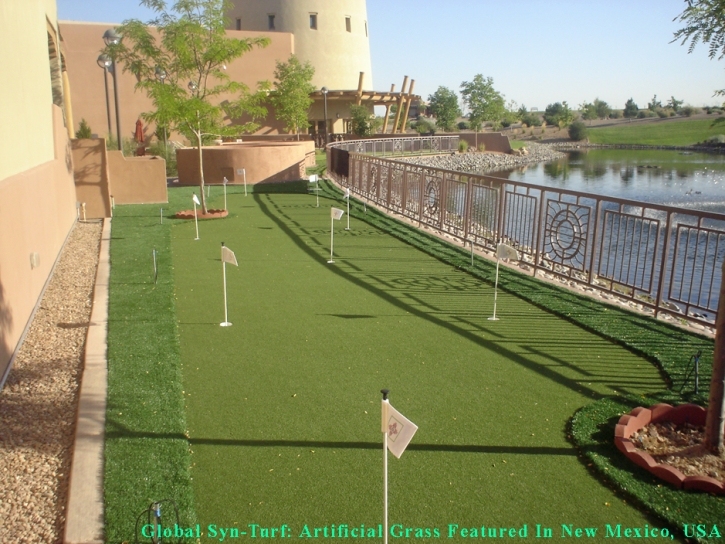 Fake Lawn Malaga, California Lawn And Garden, Backyard Makeover