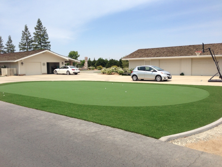 Fake Lawn Patterson, California Home And Garden, Front Yard Ideas