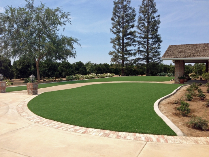 Fake Lawn Pine Grove, California Landscaping Business, Front Yard