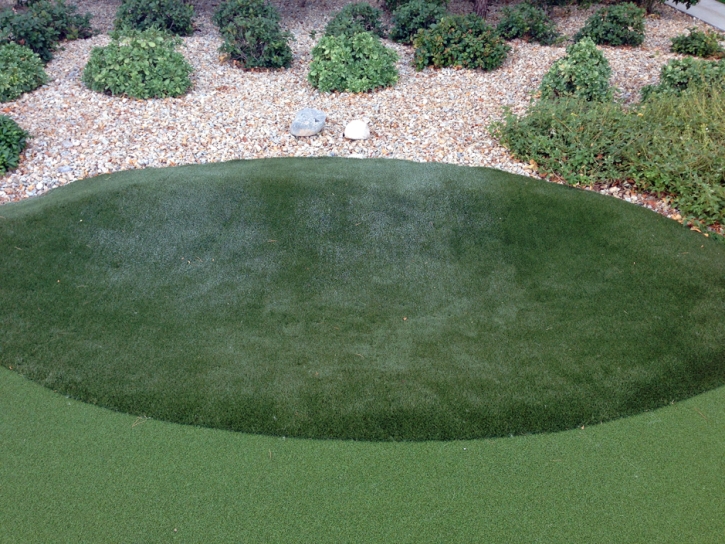 Fake Lawn San Carlos, California Landscaping