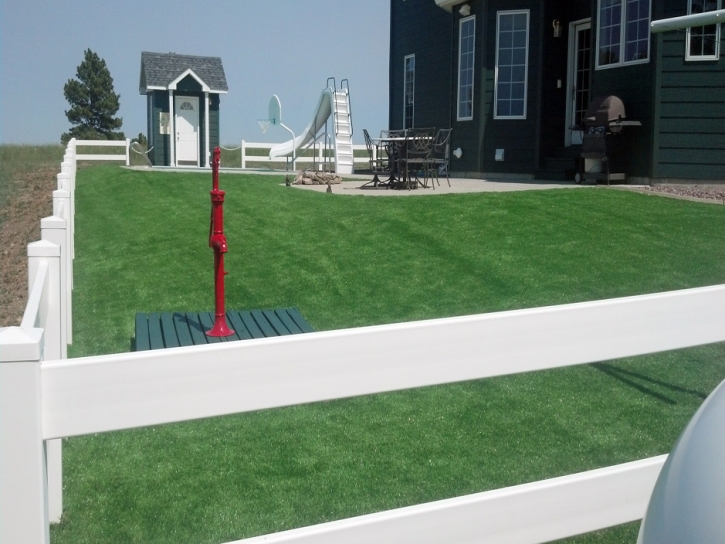 Fake Lawn Taft Heights, California Landscaping Business, Landscaping Ideas For Front Yard