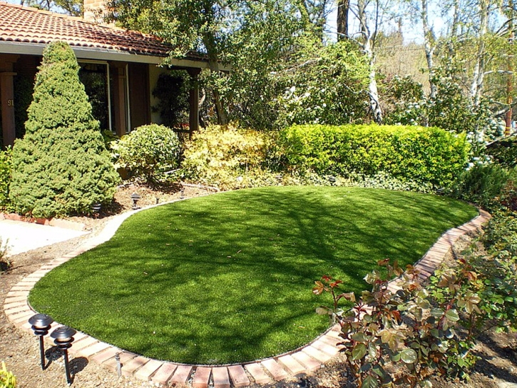 Fake Lawn Tuolumne City, California Backyard Playground, Small Backyard Ideas