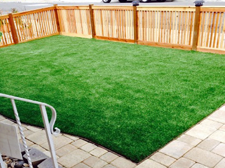 Fake Lawn Walker, California Landscape Photos, Backyard Design